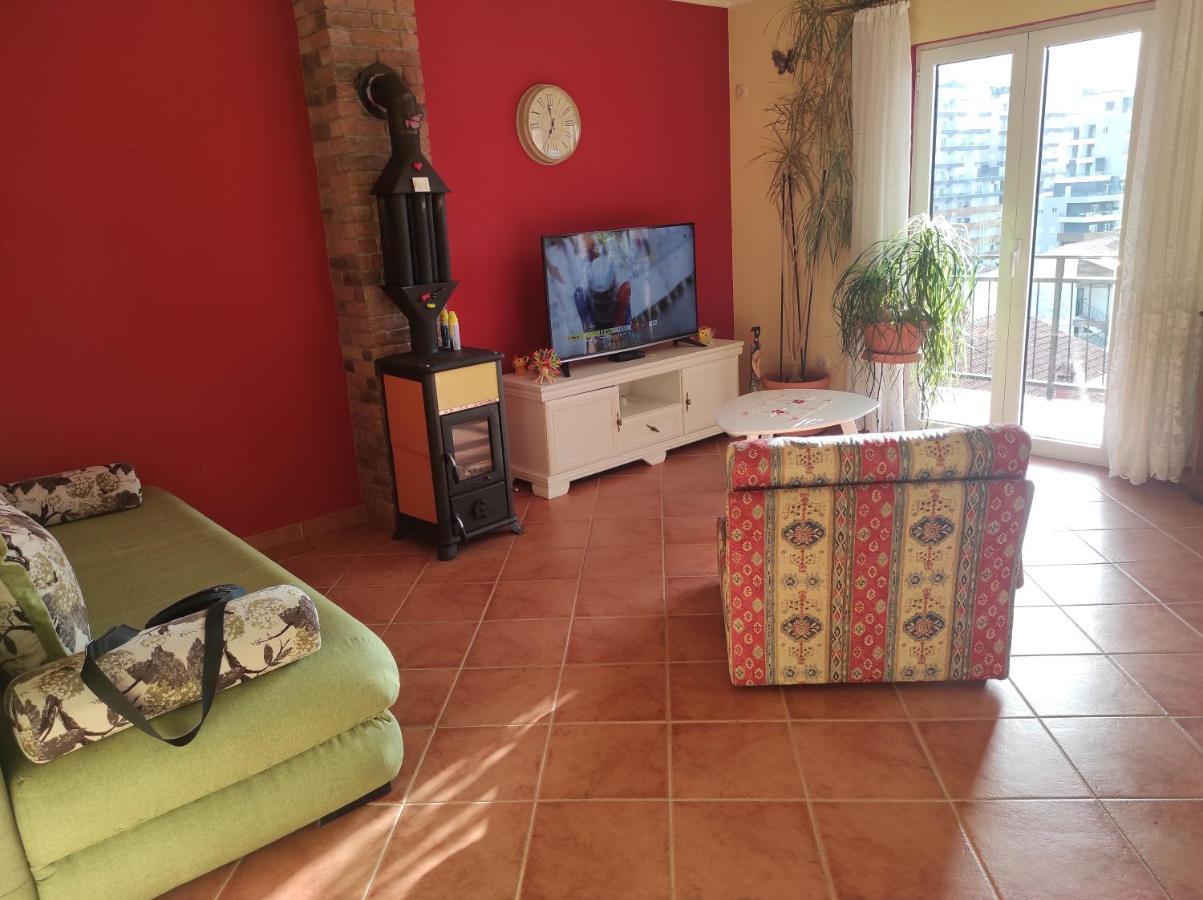Guesthouse Djacic بودفا الغرفة الصورة
