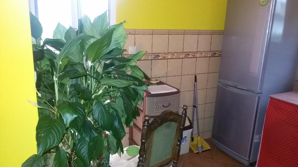 Guesthouse Djacic بودفا المظهر الخارجي الصورة